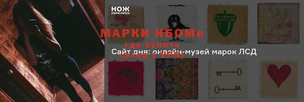 ECSTASY Алзамай