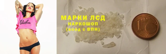 ECSTASY Алзамай
