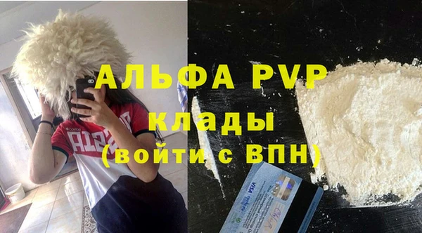 ECSTASY Алзамай