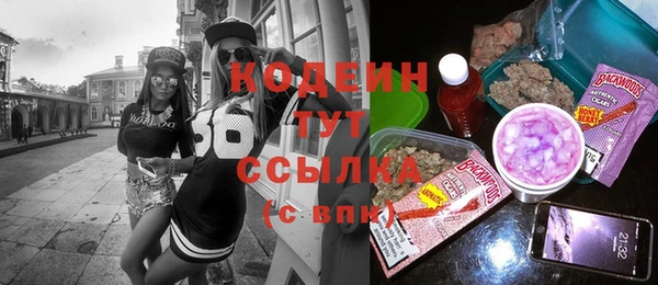 ECSTASY Алзамай