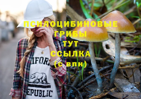мяу мяу кристалл Алексин